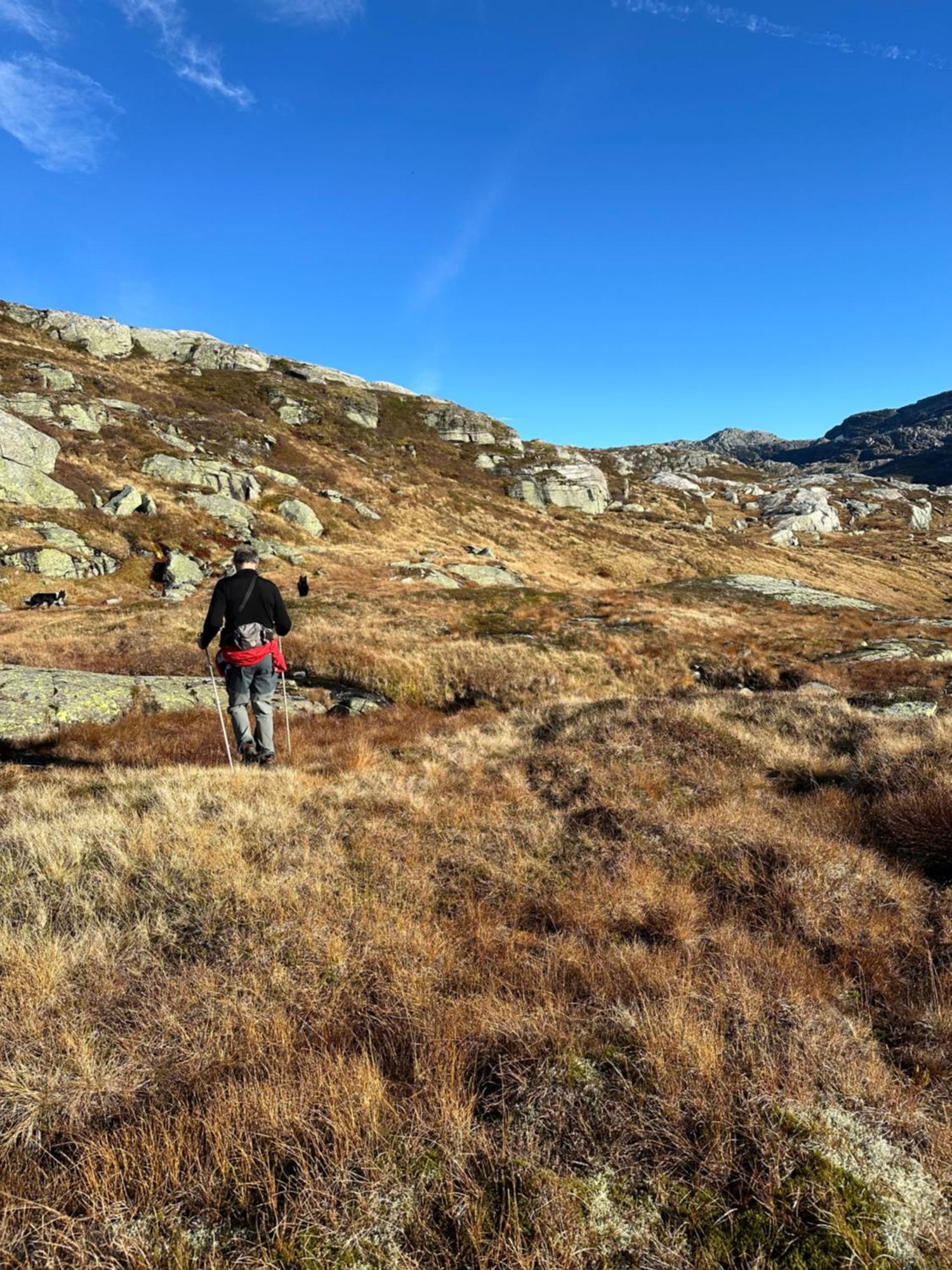 Akrafjorden Nature B&B As Fjæra Екстериор снимка