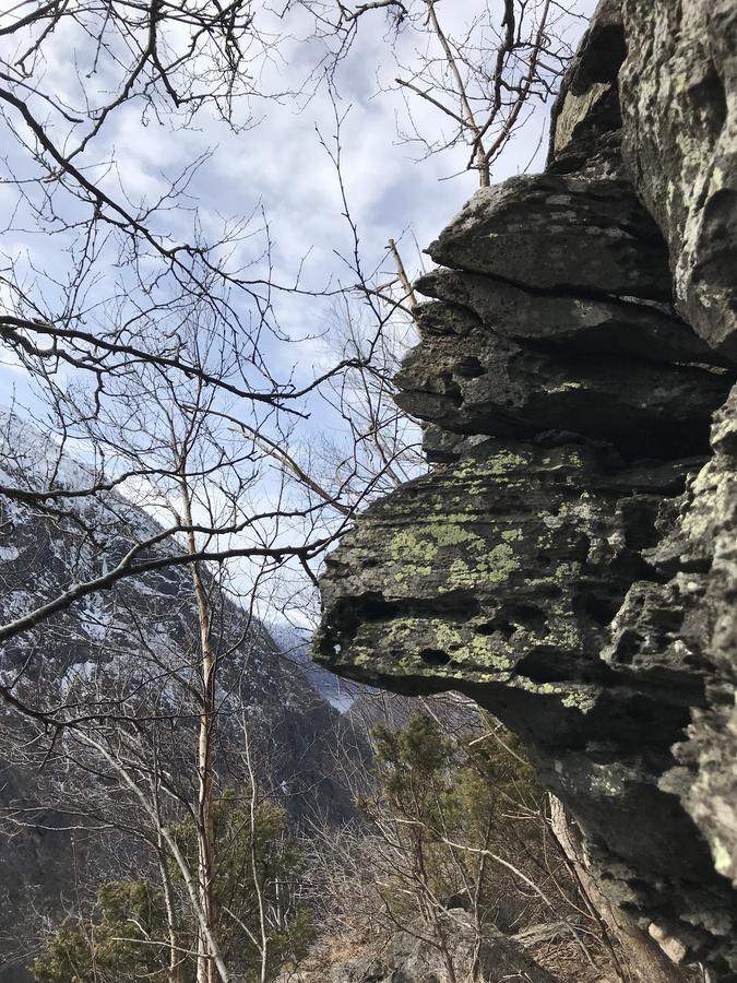 Akrafjorden Nature B&B As Fjæra Екстериор снимка